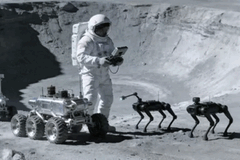 Chinesische Ingenieure erwägen Roboterhunde als Helfer für Astronauten auf dem Mond