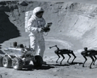 Chinesische Ingenieure erwägen Roboterhunde als Helfer für Astronauten auf dem Mond