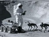 Chinesische Ingenieure erwägen Roboterhunde als Helfer für Astronauten auf dem Mond