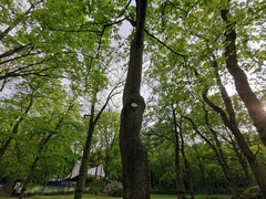 Huawei P30 | Weitwinkel-Modus