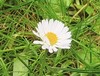 10-fach Zoom