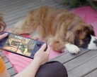 Viele Gamer bevorzugen trotz schwächerer Hardware das Steam Deck. 