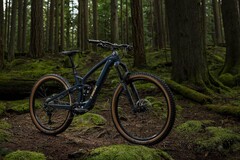 Das Trek Fuel EXe Alloy E-MTB basiert auf dem nahezu unsichtbaren TQ HPR 50 Antrieb. (Bild: Trek)