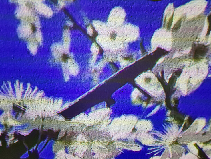 Bei hellen Flächen sieht man deutlich die Wandstruktur.