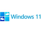 Windows 11 verlangt Webcams