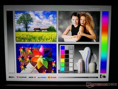 Breite IPS-Betrachtungswinkel. Farben und Kontrast verschlechtern sich bei Betrachtung aus extremen Winkeln