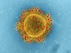 Falschinformationen rund um den Coronavirus entwickeln sich zu einem ernsthaften Problem. (Bild: CDC)