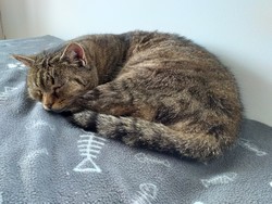 Aufnahme mit der Hauptkamera