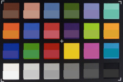 ColorChecker: Im unteren Teil eines jeden Feldes wird die Referenzfarbe dargestellt.