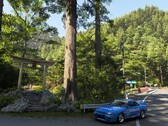 Ein Screenshot eines japanischen Wahrzeichens in Forza Horizon 6.