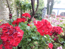 Aufnahme Frontkamera