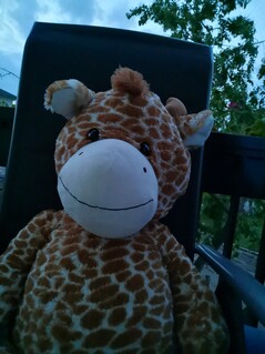 Huawei P30 Pro | Foto-Modus