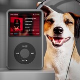 Innioasis kopiert das Design des Apple iPod Classic. (Bildquelle: Innioasis)