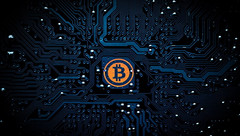Studie: Bitcoin beherrscht nicht den Kryptowährungsmarkt