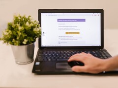 Laptop auf einem Schreibtisch mit geöffnetem E-Mail-Postfach, daneben eine Zimmerpflanze.