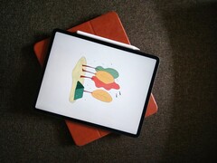 Das Apple iPad Pro soll im Jahr 2023 ein OLED-Display erhalten. (Bild: Tony Sebastian)