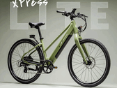 Lectric XPress Lite in Grün