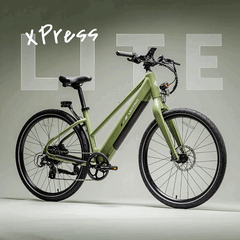 Lectric XPress Lite in Grün