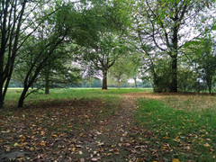 Testfoto Asus Zenfone 3