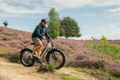 Rad Power Bikes bietet E-Bikes vergünstigt an (Im Bild: RadRhino 6 Plus)