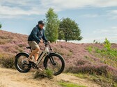 Rad Power Bikes bietet E-Bikes vergünstigt an (Im Bild: RadRhino 6 Plus)