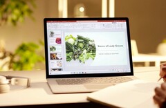 Der Nachfolger des Microsoft Surface Laptop 4 verzichtet angeblich auf eine AMD Ryzen-Option. (Bild: Microsoft)