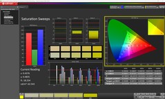 Sättigung (kalibriert)