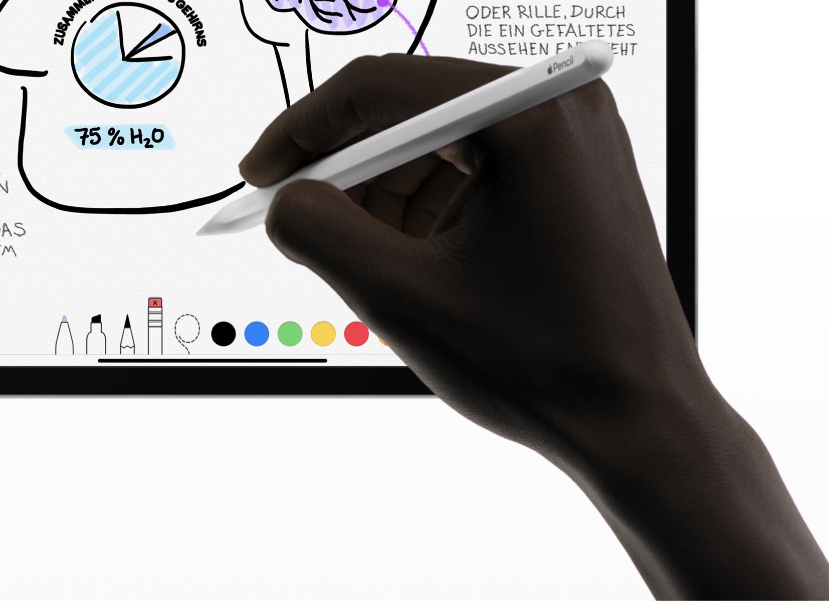 Apple Pencil 2 Mit Ipad Verbinden