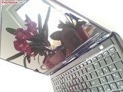 ...im Freien erkennt man leider kaum etwas.