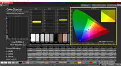 CalMAN ColorChecker (Profil: sRGB, Zielfarbraum sRGB)