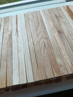 Aufnahme mit der Hauptkamera