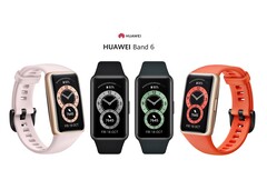 Das Honor Band 6 kommt in den vier Farben Amber Sunrise, Forrest Green, Graphite Black und Sakura Pink nach Deutschland.