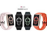 Das Honor Band 6 kommt in den vier Farben Amber Sunrise, Forrest Green, Graphite Black und Sakura Pink nach Deutschland.