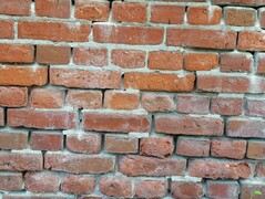 Huawei P30 Lite | 2x-Zoom