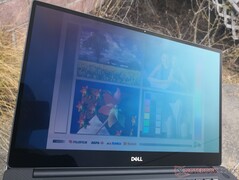 Im Freien an einem hellen, bewölkten Tag. Von der Seite ist ein Blaustich sichtbar