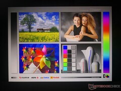 Große OLED-Betrachtungswinkel. Die bläuliche Farbverschiebung aus extremen Winkeln ist einzigartig für den Panel-Typ