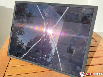 In der Sonne (mit Reflexion)