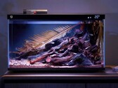 Smartes Aquarium: Xiaomi bietet ein Modell mit automatischer Fütterung an
