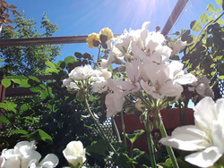 Aufnahme Frontkamera