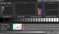Graustufen (Profil: Professionell, Zielfarbraum: sRGB)
