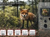 Braun Scouting Cam Black800 Mini: Mini-Wildkamera mit schwarzen LEDs