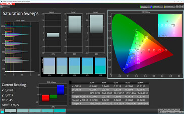 CalMan Farbsättigung (Zielfarbraum sRGB)