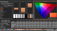 CalMAN: ColorChecker