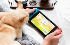 Das Warten auf die nächste Nintendo-Konsole könnte sich in die Länge ziehen. (Bild: MisterMister)