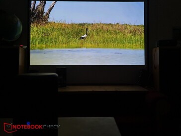 Tolle Bilder dank Laser