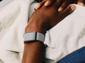 Offenbar gibt es massive Probleme mit Whoop-Trackern (Bildquelle: Whoop)