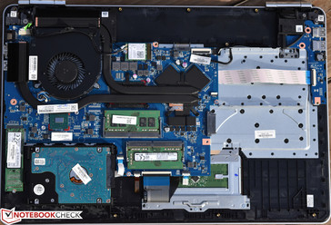 Viele Komponenten sind nach der (sehr vorsichtigen) Demontage der Unterseite zugänglich.