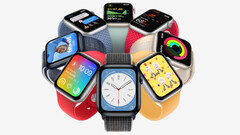Die Apple Watch SE geht für 249 US-Dollar an den Start (Bild: Apple)