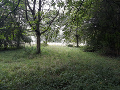 Testfoto Samsung Galaxy J7 (2017)