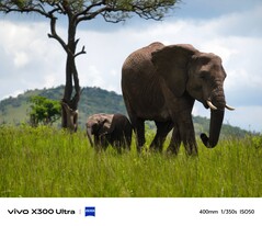 Vivo X300 Ultra auf Safari: 400mm Tele
